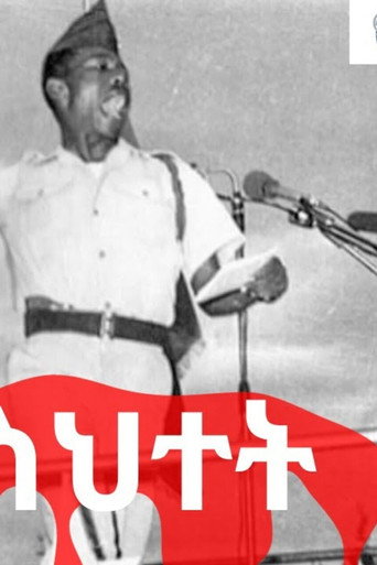 Red Mistake movie poster