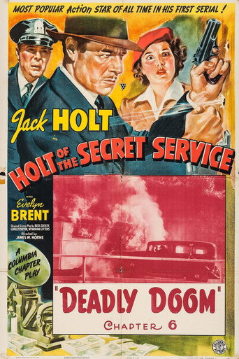Holt of the Secret Service movie poster