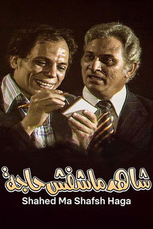 The Witness Who Didn't See Anything movie poster