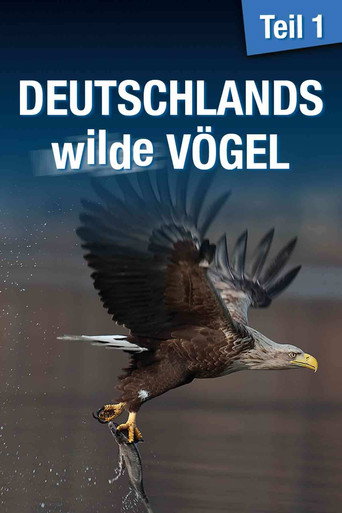 Deutschlands wilde Vögel movie poster