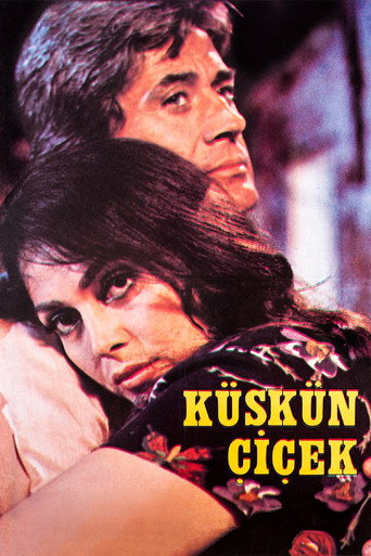 Resentful Flower movie poster