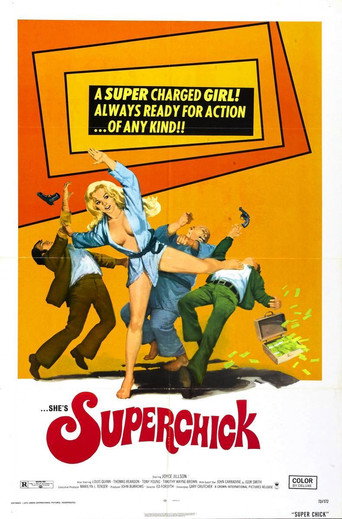 Superchick movie poster