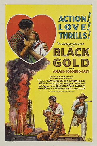 Black Gold movie poster