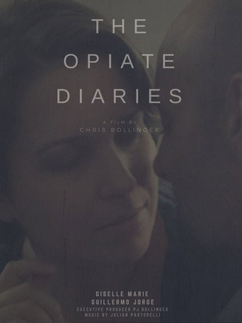 The Opiate Diaries movie poster
