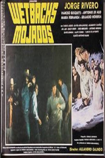 Mojados movie poster
