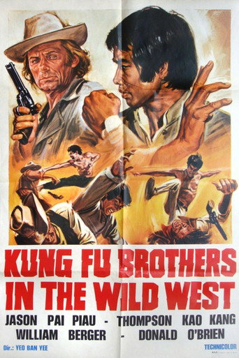 Kung Fu Brothers in the Wild West movie poster