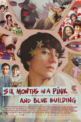 Six Months in a Pink and Blue Building movie poster