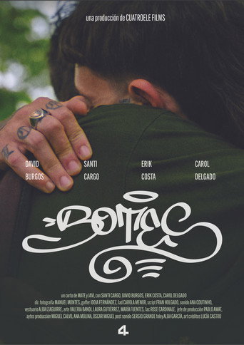 Botes movie poster
