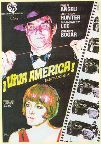 Cry Chicago movie poster