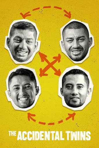 The Accidental Twins movie poster