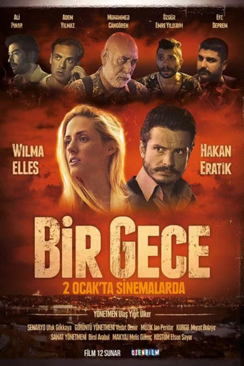 Bir Gece movie poster