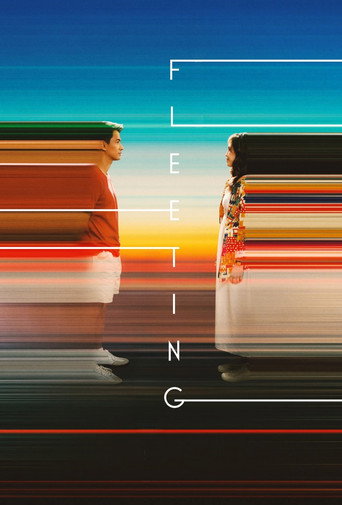 Fleeting movie poster