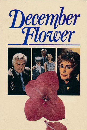 December Flower movie poster
