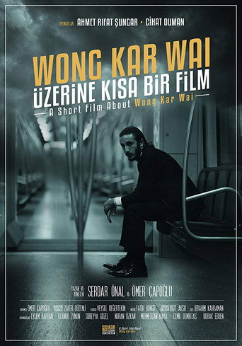 A Short Film About Wong Kar Wai movie poster