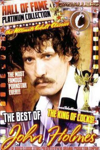Caballero Hall of Fame Best of John Holmes movie poster