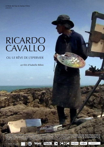 Ricardo Cavallo ou le rêve de l'épervier movie poster