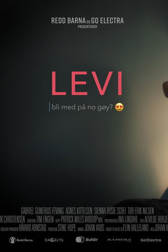 Levi movie poster