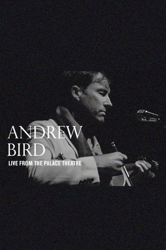 Andrew Bird: Live From The Palace Theatre movie poster