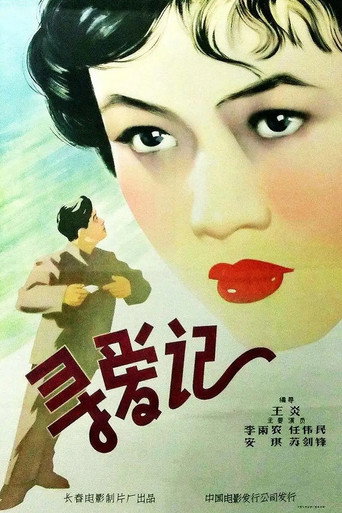 寻爱记 movie poster
