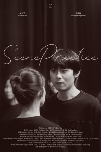 Scene Practice movie poster