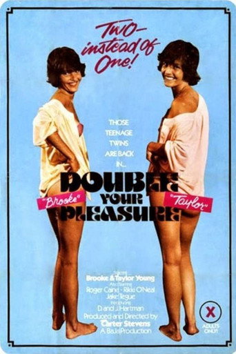 Double Your Pleasure movie poster
