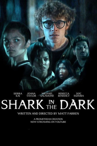 Shark In The Dark movie poster