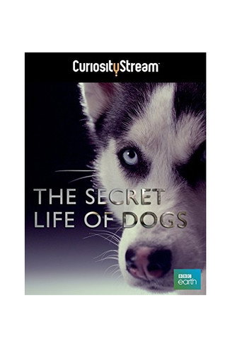 The Secret Life of Dogs movie poster
