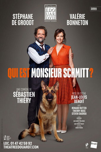 Qui est Monsieur Schmitt ? movie poster