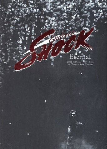 Endless SHOCK 20th Anniversary -Eternal- movie poster