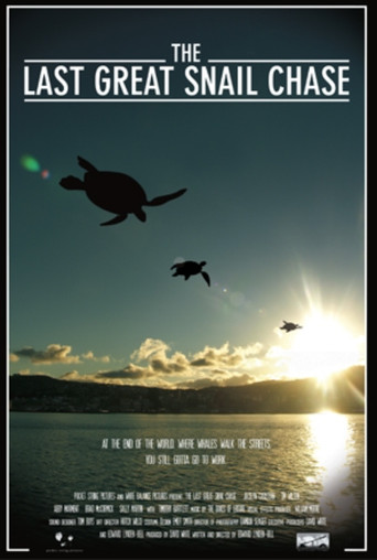 The Last Great Snail Chase movie poster