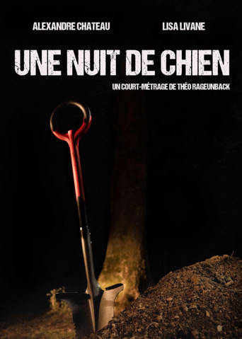 Une nuit de chien movie poster
