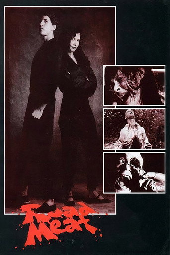 Road Meat movie poster