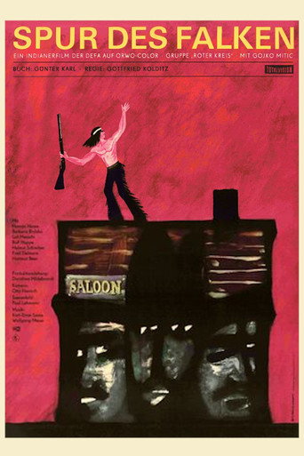 Trail of the Falcon movie poster