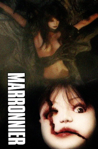 Marronnier movie poster