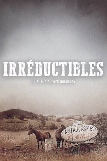 Irréductibles movie poster