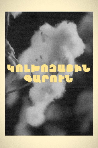 Spring in Kolkhoz movie poster