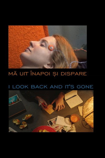 I Look Back and It's Gone movie poster