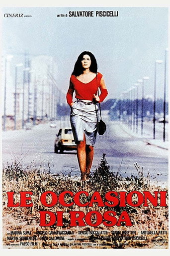 The Opportunities of Rosa movie poster
