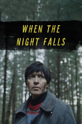 When the Night Falls movie poster