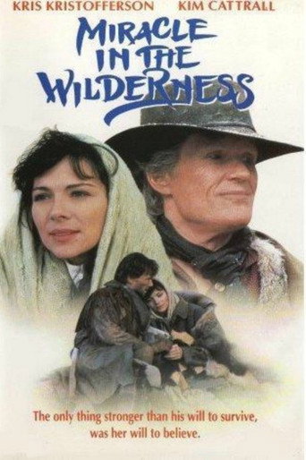 Miracle in the Wilderness movie poster