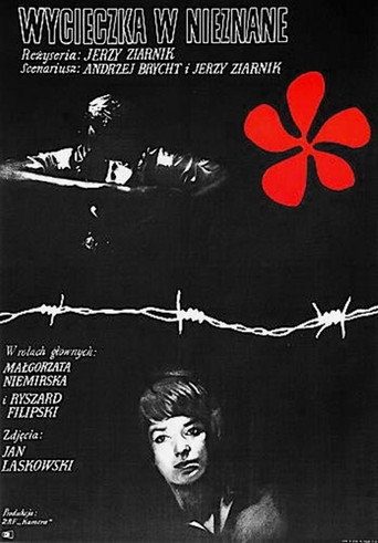 Wycieczka w nieznane movie poster