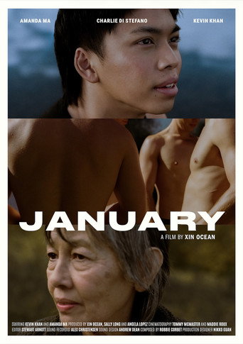 JANUARY movie poster
