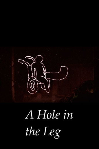 A Hole In The Leg movie poster