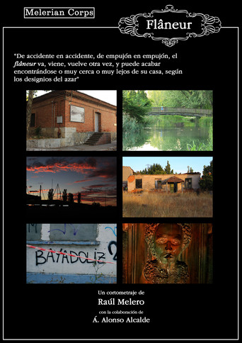 Flâneur (El paseador) movie poster