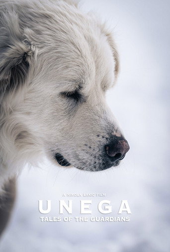 Unega | Tales Of The Guardians movie poster
