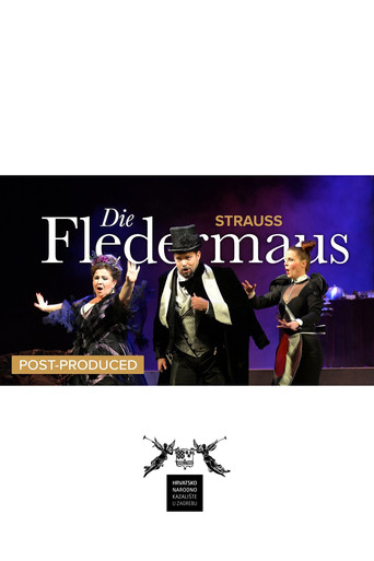 Die Fledermaus - CNT movie poster