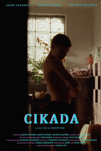 Cicada movie poster