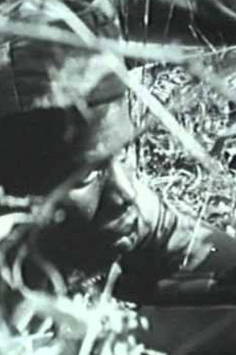 Anos de Guerra - Guiné 1963-1974 movie poster