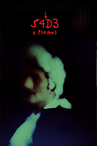 S4D3 movie poster