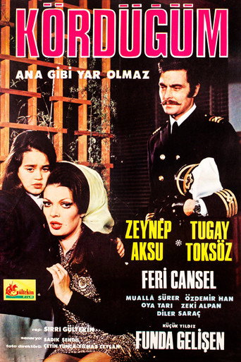 Kördüğüm movie poster